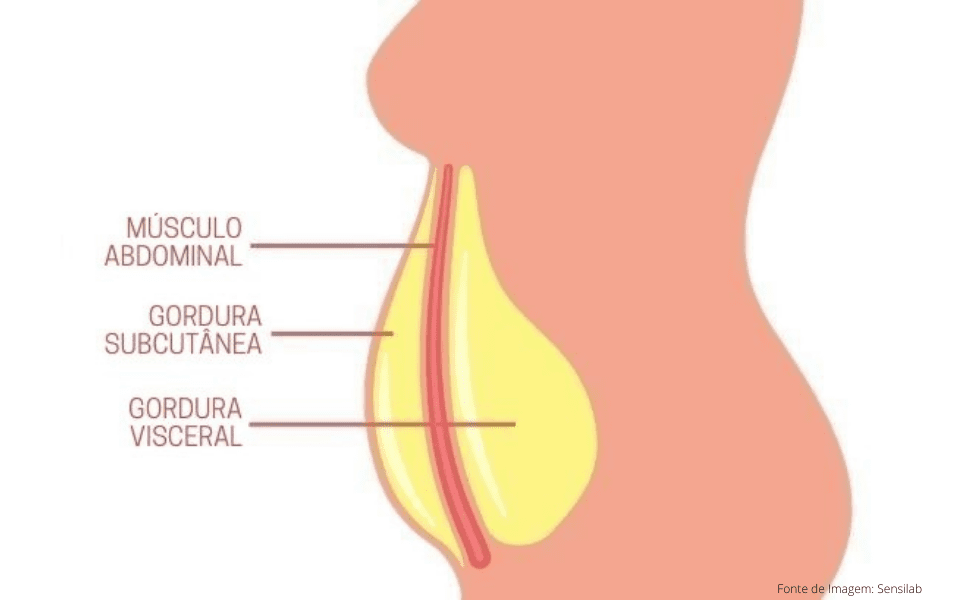 LIPOASPIRAÇÃO: Como Recuperar e Manter o Resultado da Lipo? Ilustração sobre as camadas de tecidos conjuntivos na região avdominal