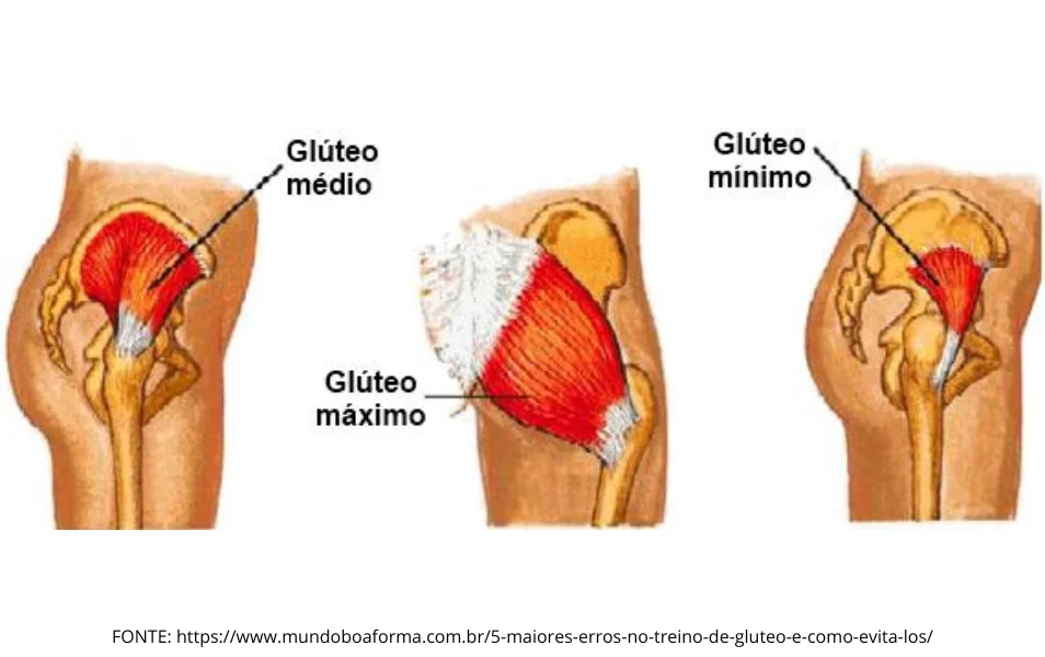 Os grupos musculares envolvidos na região do hip dips são: glúteo médio, glúteo máximo e glúteo mínimo.